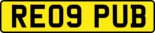 RE09PUB