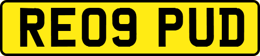 RE09PUD