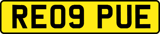 RE09PUE