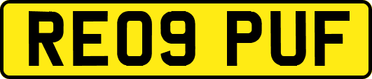 RE09PUF