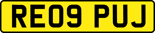 RE09PUJ
