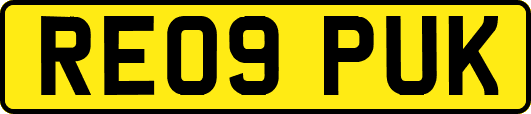 RE09PUK