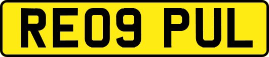 RE09PUL