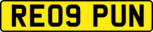 RE09PUN