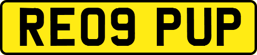 RE09PUP