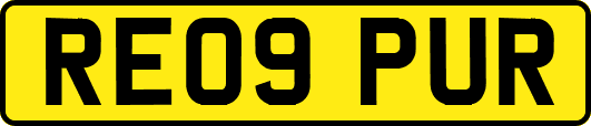 RE09PUR