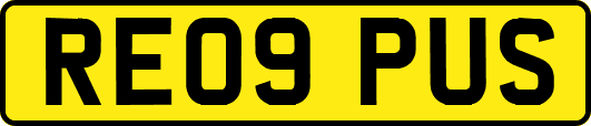 RE09PUS
