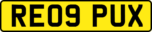 RE09PUX