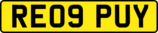 RE09PUY