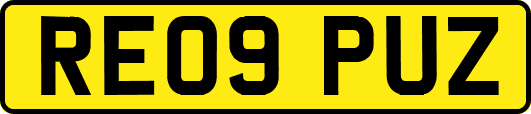 RE09PUZ
