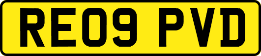RE09PVD