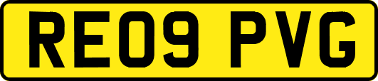 RE09PVG