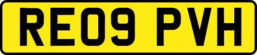 RE09PVH