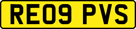 RE09PVS