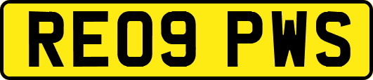 RE09PWS