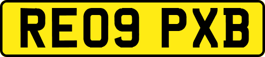 RE09PXB