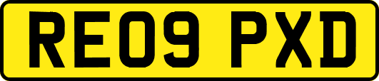RE09PXD