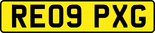 RE09PXG