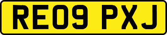 RE09PXJ