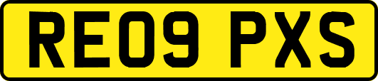 RE09PXS