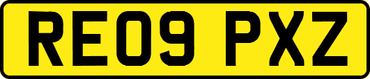 RE09PXZ