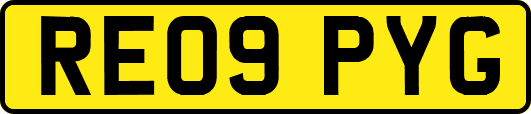 RE09PYG