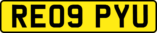 RE09PYU