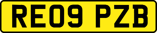 RE09PZB