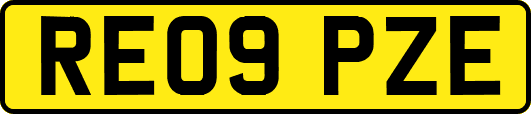 RE09PZE