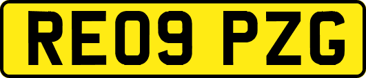 RE09PZG