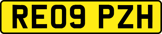 RE09PZH