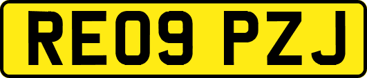 RE09PZJ
