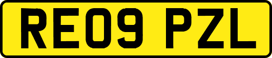 RE09PZL