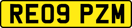 RE09PZM