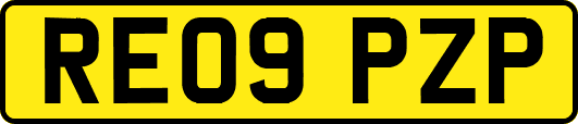 RE09PZP