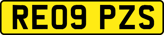 RE09PZS