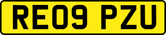 RE09PZU