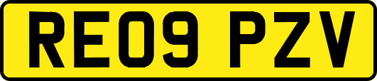 RE09PZV