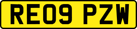 RE09PZW