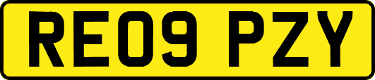 RE09PZY
