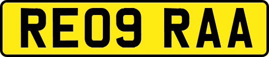 RE09RAA