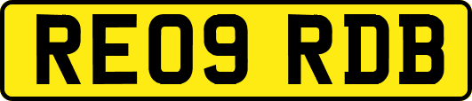 RE09RDB