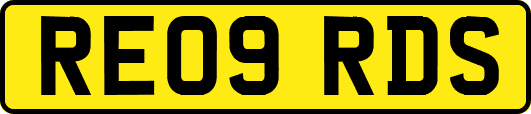 RE09RDS