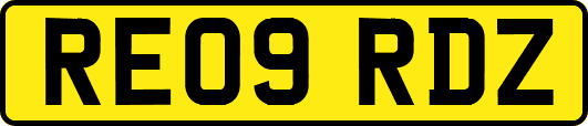 RE09RDZ