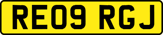 RE09RGJ