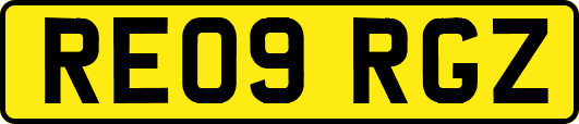 RE09RGZ