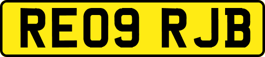 RE09RJB