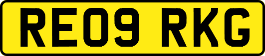 RE09RKG