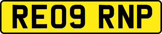 RE09RNP