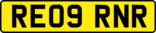 RE09RNR